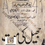 Jheel Ki Mout (I.J.S., I.K.S., Shoki Bros) by Ishtiaq Ahmed Download PDF