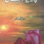 Kuch Dair Tehar Ay Dil by Saadullah Shah Download PDF