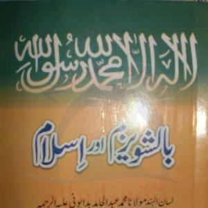 The Bolsheviks and Islam by Mulana Muhammad abdul hamid Bandivani