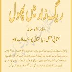 Raigzaar Mein Phool by Sabir Shah Sabir Download PDF