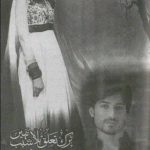 Tark e Taluq Bila Sabab Nahi by Naheed Chaudhry