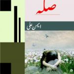 Silah Urdu PDF by Aiman Ali
