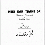 Naiki Kar Thany Ja by ibrahim jalees