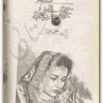 Jo Charagh e Jaan Thay Bujhy Huey by M Sultana Fakhar PDF