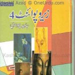 Zero Point 04 by Javed Chaudhry