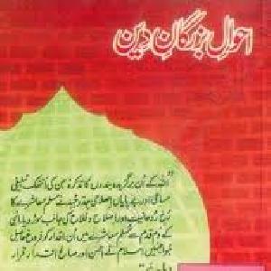 Ahwaal e Buzurgaan e Deen by Sayed . a. Sheikh PDF