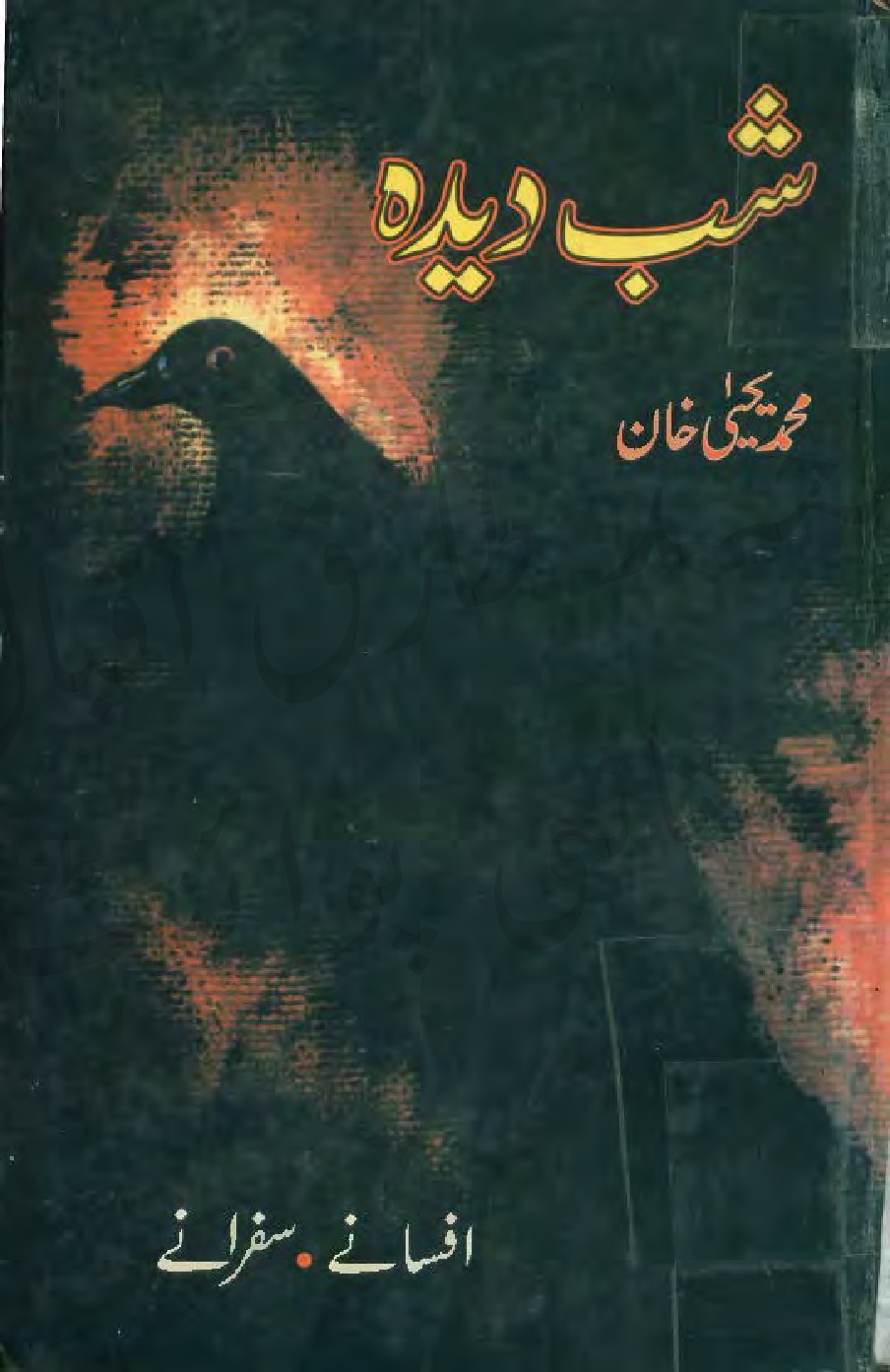Shab Deedah by Baba Muhammad Yahya Khan PDF