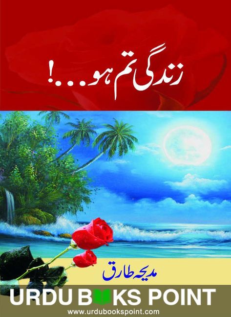Image result for Zindagi Tum Ho Social Novels by Madiha Tariq