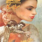 Salaaska Imran Series by Mazhar Kaleem M.A Download PDF
