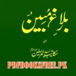 Balagh e Mubeen By Muhammad Hifzur Rahman Seoharvi Download PDF