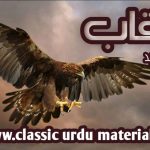 Uqaab by Seema Shahid PDF