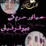 haya or haram ki bewakoofiyaan novel by Amrah Shaikh